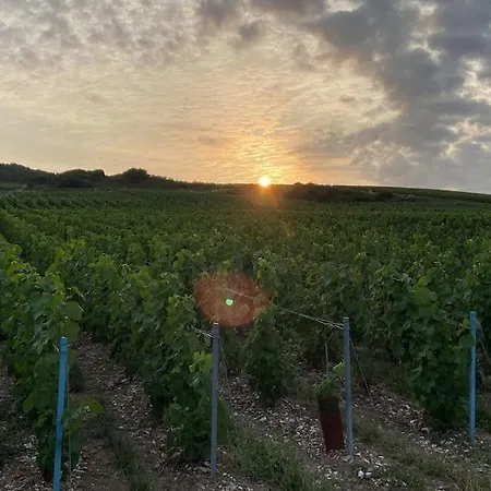 아파트 L Antre Deux Vignes Saulchery